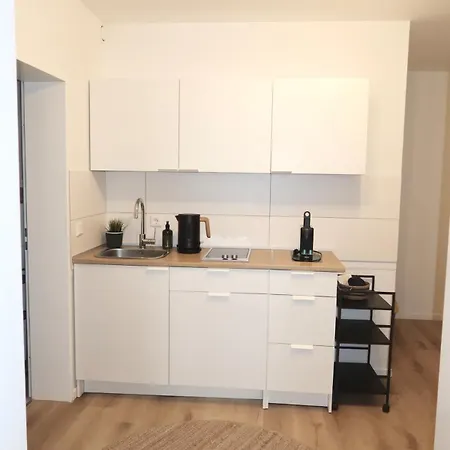 New Cozy Loft In City,parking,lift *