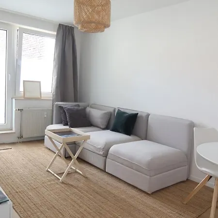New Cozy Loft In City,parking,lift Apartment